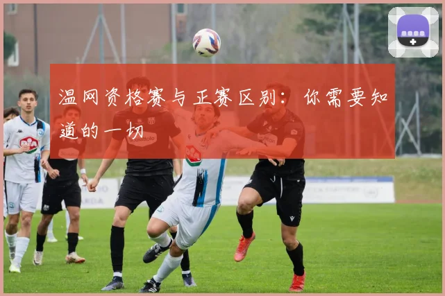 温网资格赛与正赛区别：你需要知道的一切