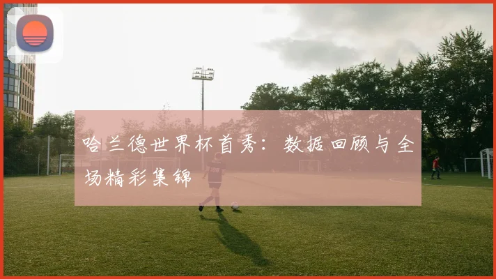 哈兰德世界杯首秀：数据回顾与全场精彩集锦