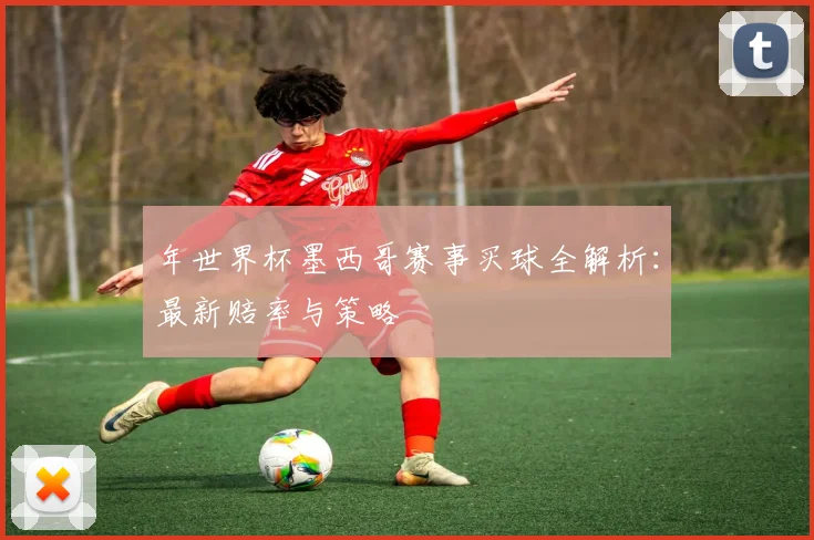 年世界杯墨西哥赛事买球全解析：最新赔率与策略